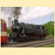Parní lokomotiva 433.002 po příjezdu do stanice Zborovice.