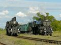 Setkání rakousko-uherských parních lokomotiv v Lužné